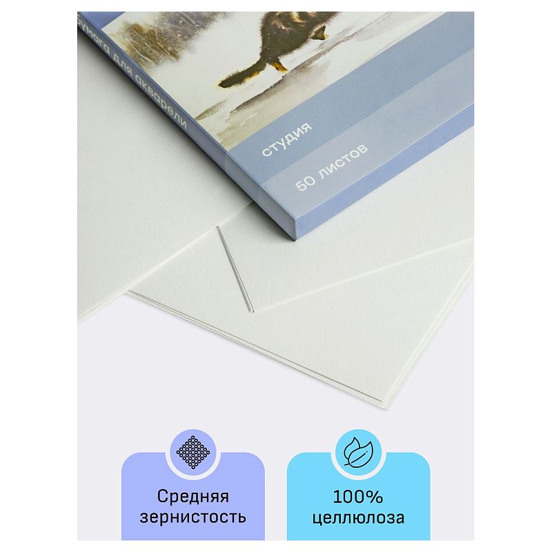 Папка для акварели, 50л., А3, Гамма "Студия", 200г/м2, среднее зерно