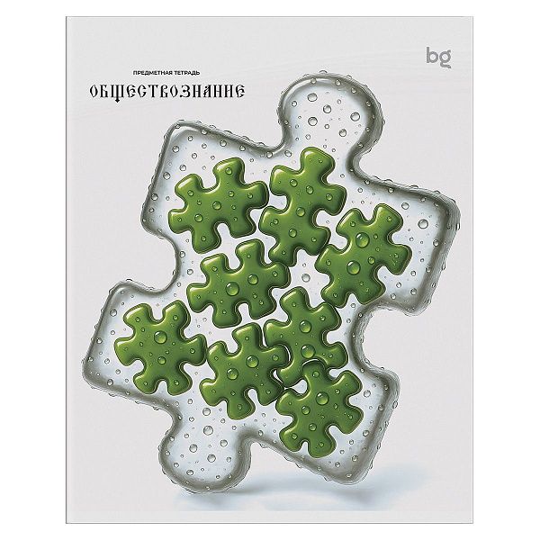 Тетрадь предметная 48л. BG "Юный гений" - Обществознание, эконом
