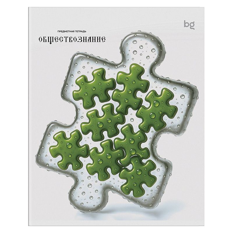 Тетрадь предметная 48л. BG "Юный гений" - Обществознание, эконом