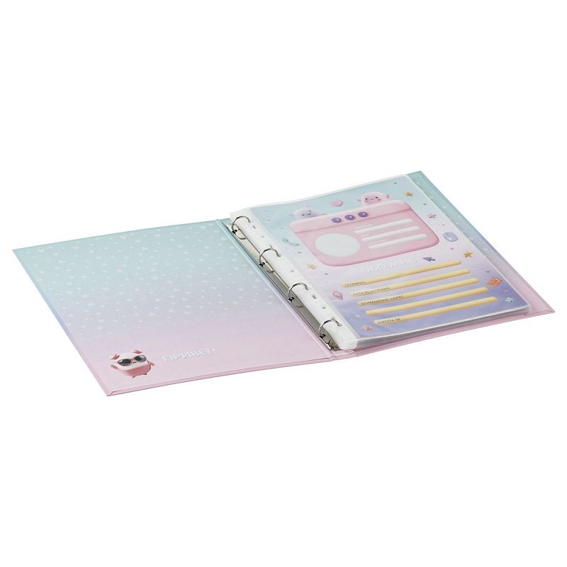 Папка-портфолио 7БЦ А4 BG, на 4 кольцах для школьницы, 20 файлов, 10 вкладышей 