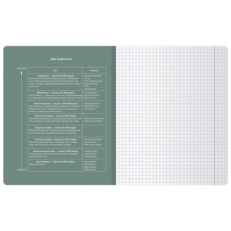 Тетрадь предметная 48л. BG "Сolor object" - Биология, soft-touch ламинация, тиснение фольгой, 70г/м2