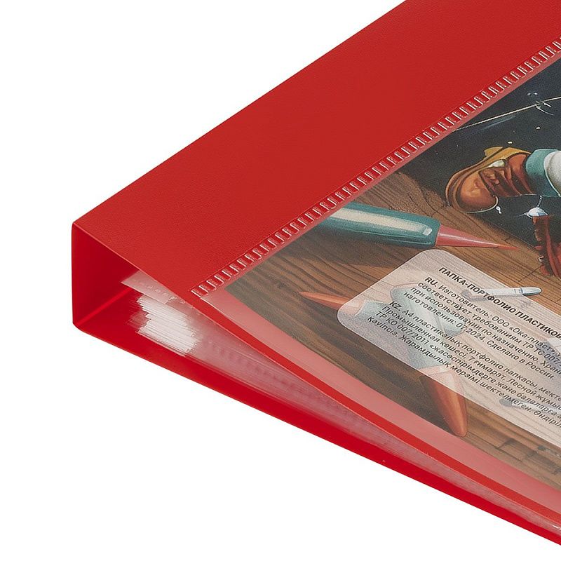 Папка-портфолио пластиковая А4 BG, на 2 кольцах для школьника "Космонавты", 20 файлов 