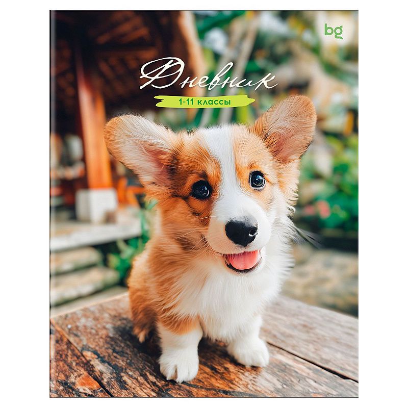 Дневник 1-11 кл. 48л. на скобе BG "Корги"