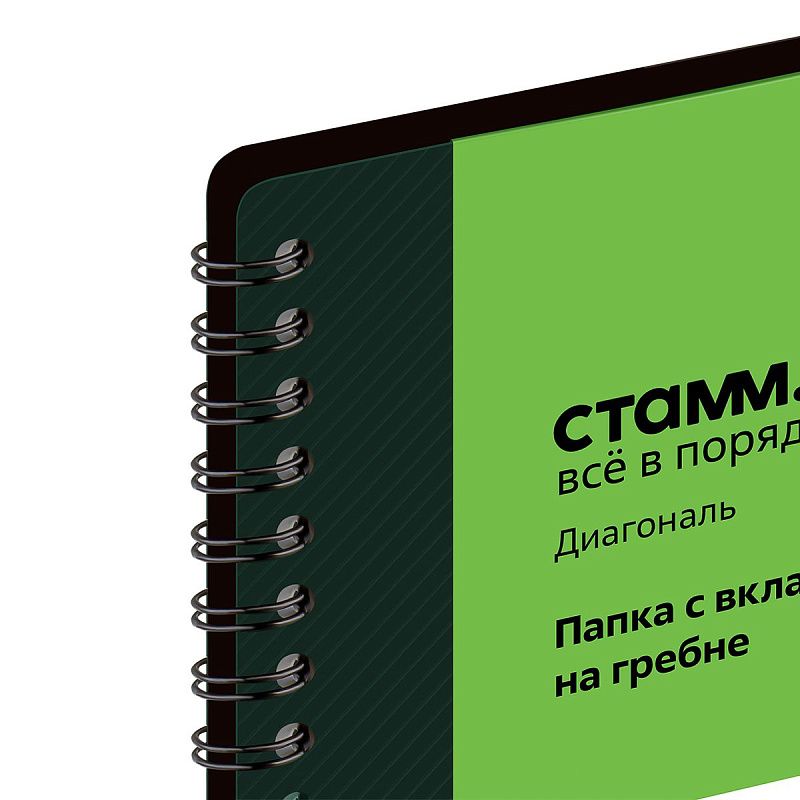 Папка с 40 вкладышами на гребне СТАММ "Диагональ" А4, 21мм, 700мкм, пластик, изумруд 