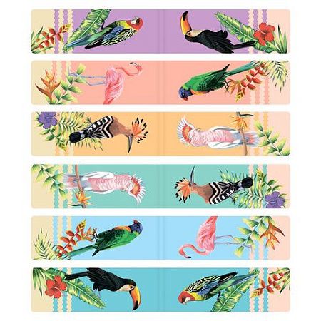 Закладки для книг МАГНИТНЫЕ, "TROPICS", набор 12 шт., 60x20 мм, BRAUBERG, 113172 
