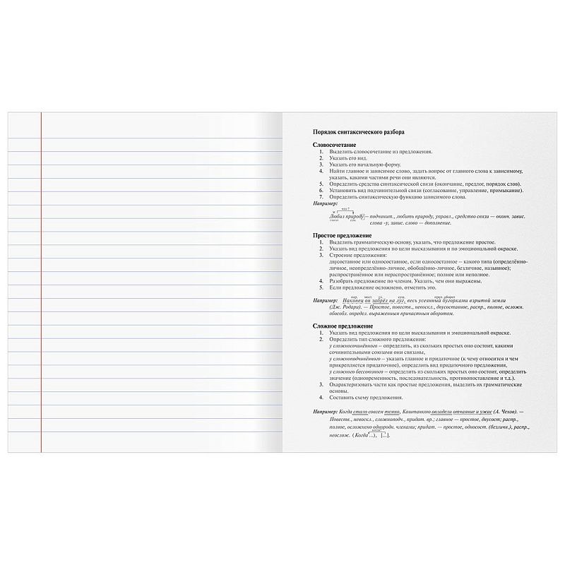 Тетрадь предметная 48л. BG "Юный гений" - Русский язык, эконом