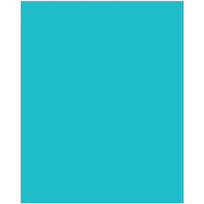 Тетрадь предметная 48л. BG "Перфокарта" - История, пластиковая обложка