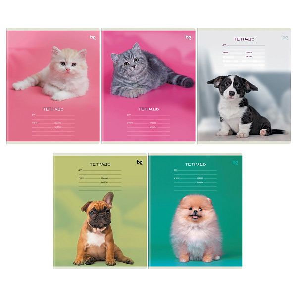 Тетрадь 12л., клетка BG "Little animal"