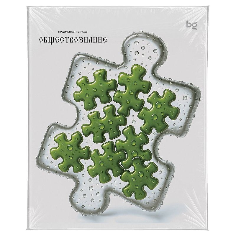 Тетрадь предметная 48л. BG "Юный гений" - Обществознание, эконом