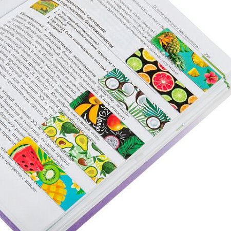 Закладки для книг МАГНИТНЫЕ, "FRUITS", набор 6 шт., 60x20 мм, BRAUBERG, 113160 