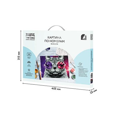 Картина по номерам на холсте ТРИ СОВЫ "Кошачий космос", 30*40, с акриловыми красками и кистями