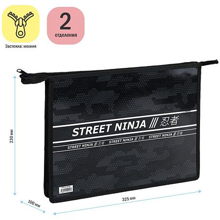 Папка для тетрадей 2 отделения А4 ArtSpace "Ninja", пластик, фольга, на молнии 