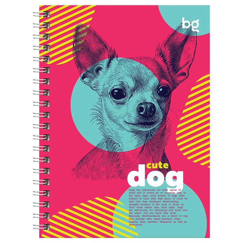 Записная книжка А6 80л., на гребне BG "Наши питомцы", глянцевая ламинация, твердая обложка
