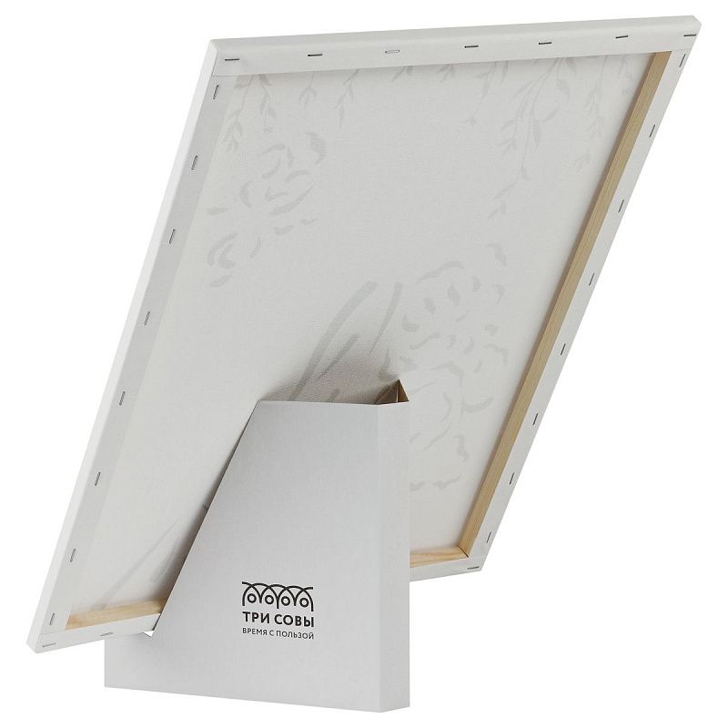 Картина по номерам на холсте с глиттером ТРИ СОВЫ "Невеста", 40*50, с акриловыми красками и кистями