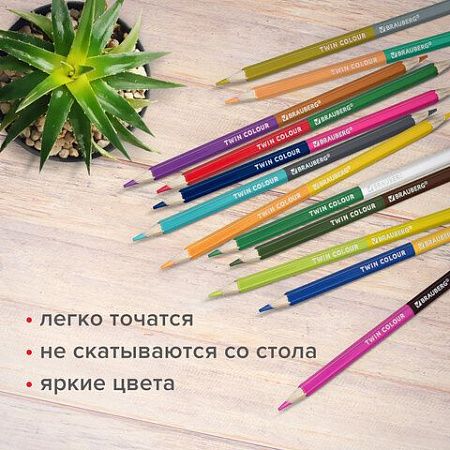 Карандаши цветные мягкие двусторонние BRAUBERG PREMIUM TWIN COLOUR, 12 штук, 24 цвета, 181874
