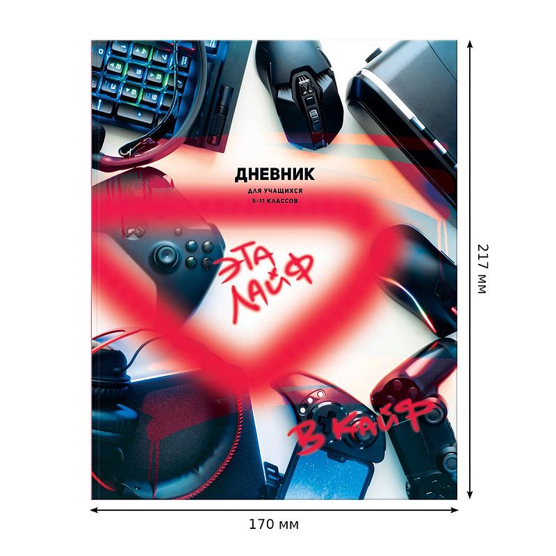 Дневник 5-11 кл. 48л. ЛАЙТ BG "В кайф", матовая ламинация, выб. лак