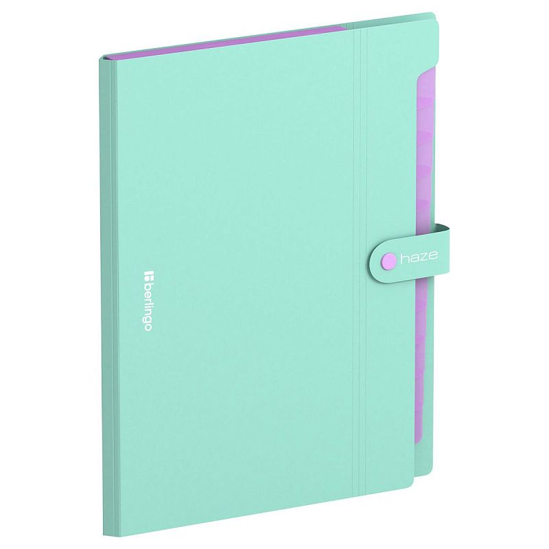 Папка 12 отделений Berlingo "Haze", А4, 600мкм, на кнопке, мятная 