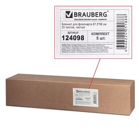 Блокноты для флипчарта BRAUBERG, комплект 5 штук, 20 листов, чистые, 67,5х98 см, 80 г/м2, 124098