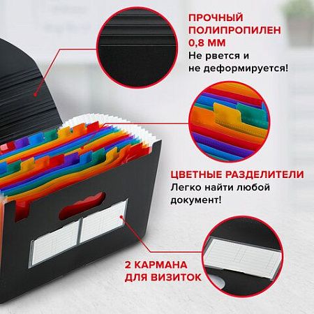 Папка-органайзер для бумаг и документов на резинке, 25 отделений, BRAUBERG DOCS, А4, черная, 271151 