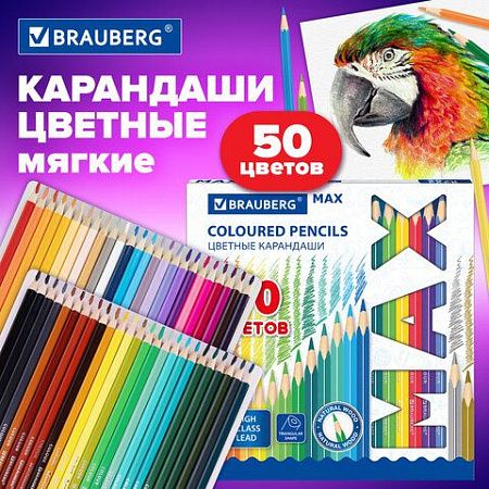 Карандаши цветные супермягкие яркие трехгранные BRAUBERG MAX, 50 цветов, грифель мягкий 3,3 мм, 181860