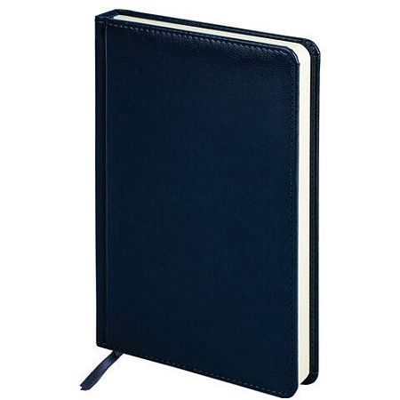 Ручка шариковая PARKER "Jotter Plastic CT", корпус синий, ежедневник А5 синий, пакет, 880896 
