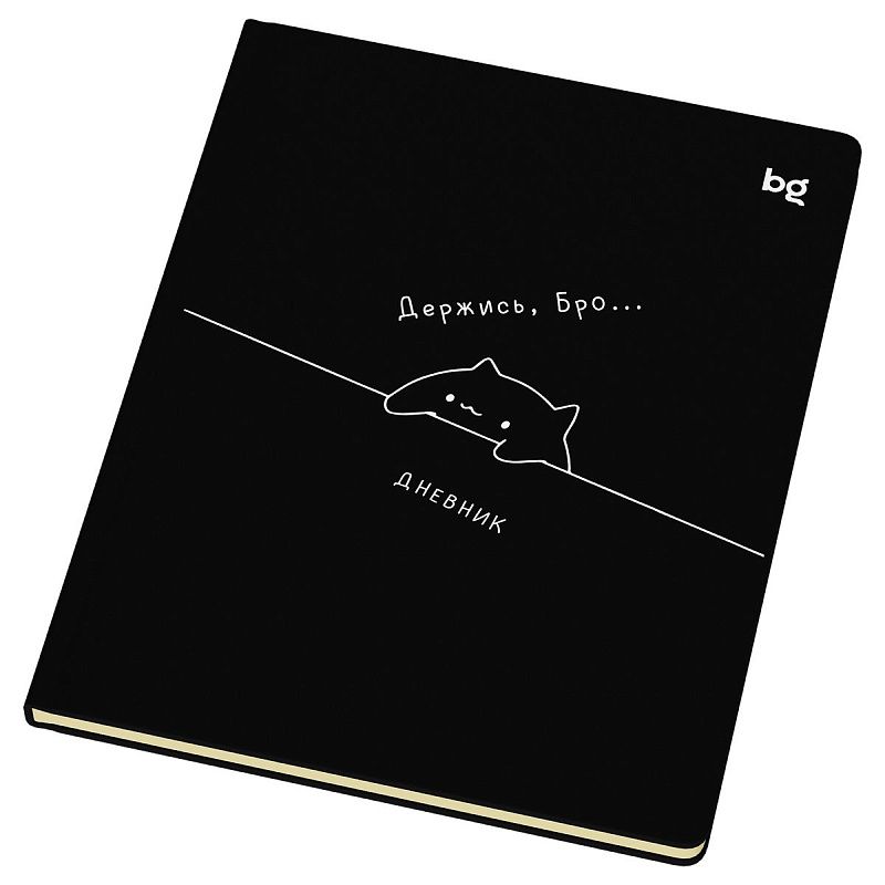 Дневник 1-11 кл. 48л. (твердый) BG "Держись", иск. кожа (балакрон), печать, ляссе