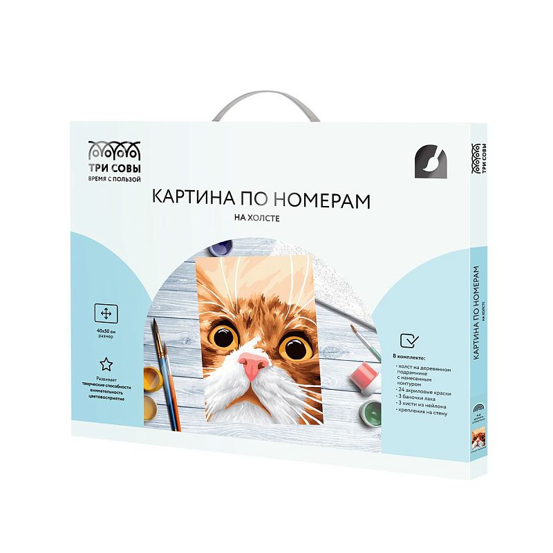 Картина по номерам на холсте ТРИ СОВЫ "Усатый-полосатый", 40*50, с акриловыми красками и кистями