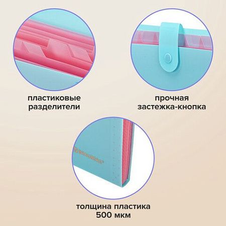 Папка-органайзер на кнопке 12 отделений, BRAUBERG "Extra", А4, голубая с розовым, 271932 