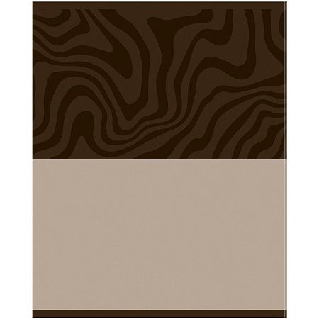 Тетрадь предметная 48л. BG "Single colour" - Русский язык, эконом
