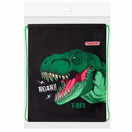 Мешок для обуви ПИФАГОР, 1 отделение, 40х32 см, Dino roar, 272387 