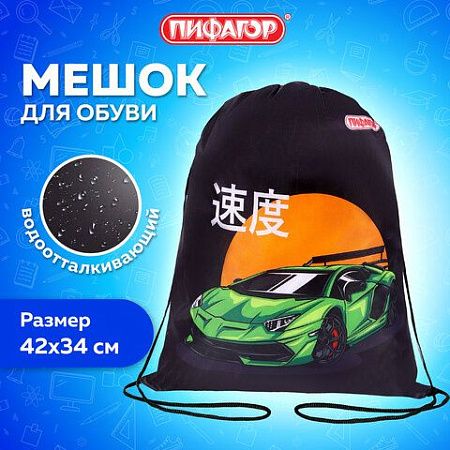 Мешок для обуви ПИФАГОР, 1 отделение, 40х32 см, Dive into drive, 272388 