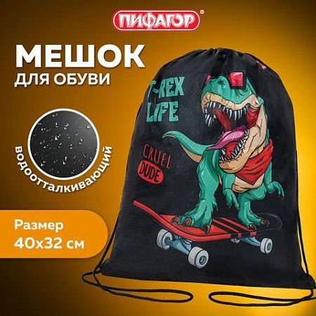 Мешок для обуви ПИФАГОР, 1 отделение, 42х34 см, "T-Rex", 271606 