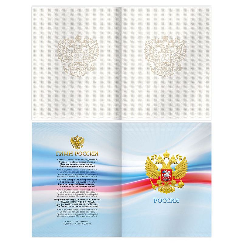 Дневник 1-11 кл. 48л. (твердый) BG "Российского школьника", матовая ламинация, выб.лак