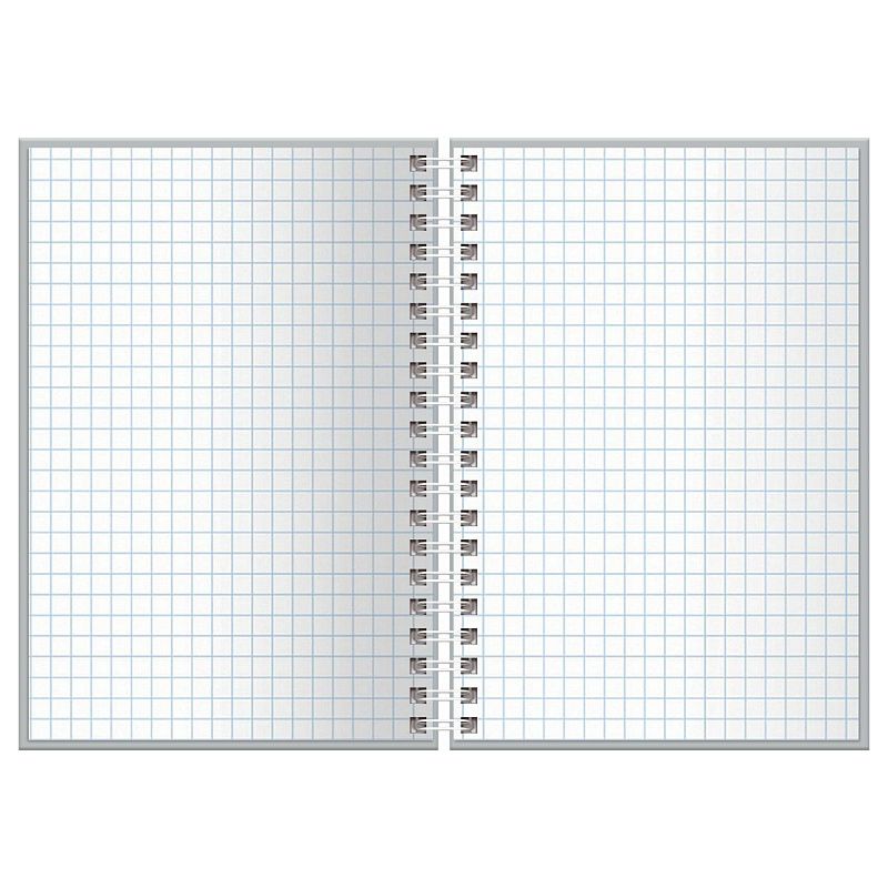 Записная книжка А6 80л. на гребне BG "Волшебник Изумрудного Города"