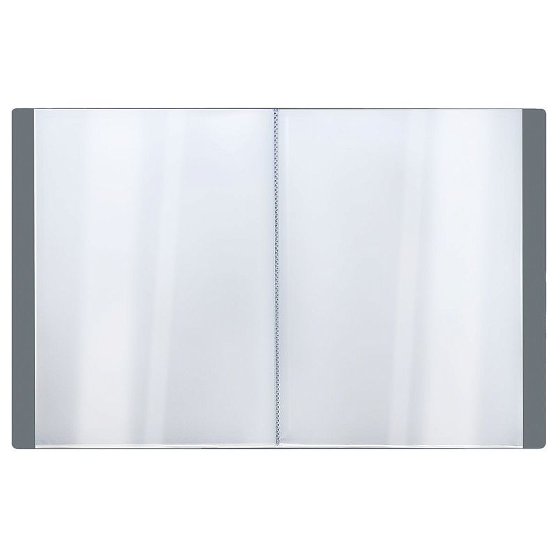 Папка со 100 вкладышами СТАММ "Стандарт" А4, 30мм, 800мкм, пластик, серая 