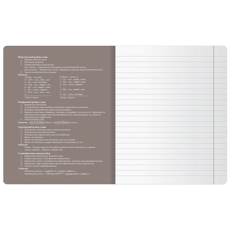 Тетрадь предметная 48л. BG "Сolor object" - Русский язык, soft-touch ламинация, тиснение фольгой, 70г/м2