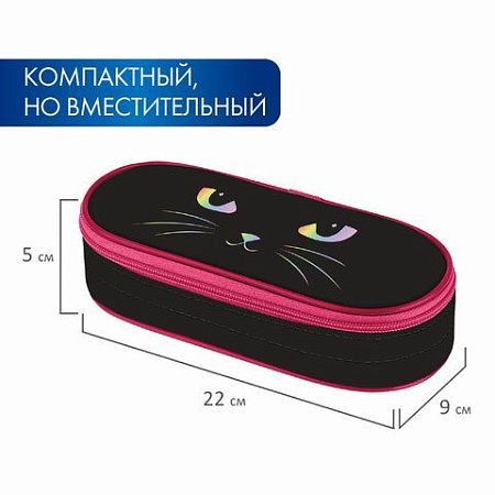 Пенал-футляр BRAUBERG, 1 отделение, органайзер, полиэстер, 22x9x5 см, "Cat eye", 271585 