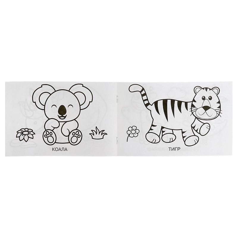 Раскраска А5,  8 стр., Умка "Зоопарк", горизонтальная