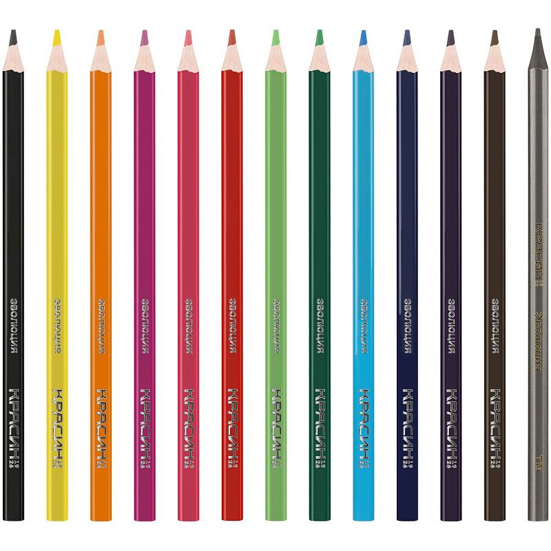 Карандаши цветные пластиковые Красин "Эволюция", 12цв.+1 ч/г HB, заточен., картон, европодвес