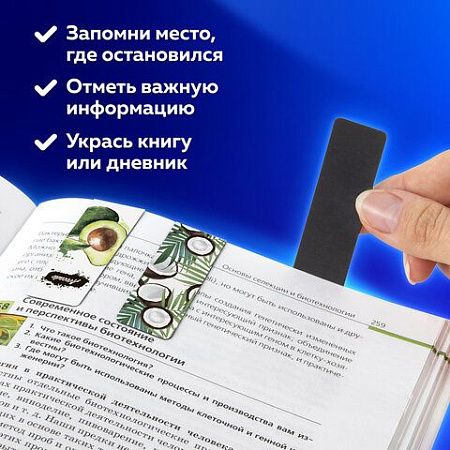Закладки для книг МАГНИТНЫЕ, "FRUITS", набор 12 шт., 60x20 мм, BRAUBERG, 113173 