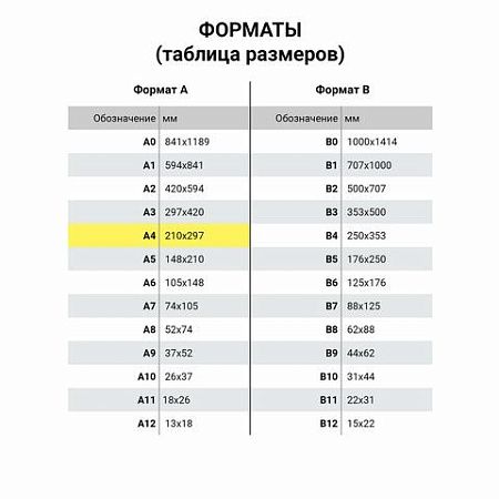 Папка на молнии с ручками BRAUBERG А4, 1 отделение, полиэстер, 80 мм, "Funny panda", 271127 