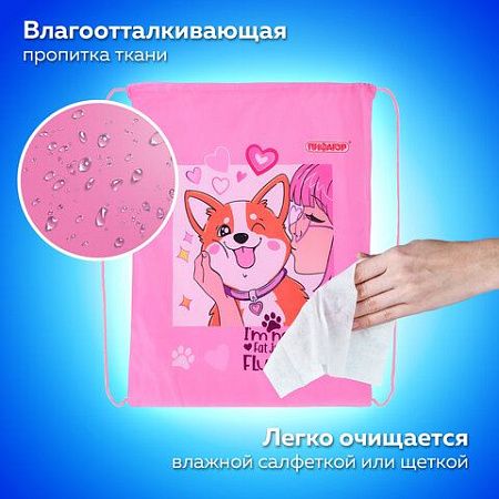 Мешок для обуви ПИФАГОР, 1 отделение, 40х32 см, Fluffy akita, 272385 