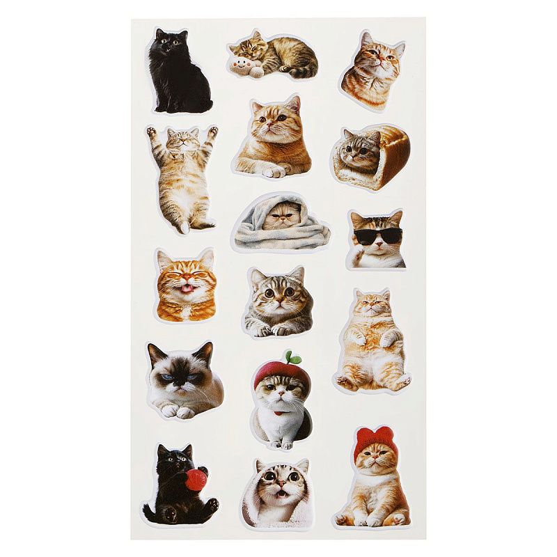 Наклейки объемные MESHU "Wow Cat", 10*23см, инд. уп., европодвес