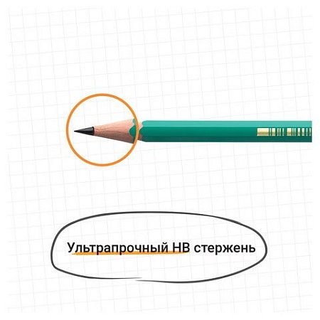 Карандаш чернографитный BIC, 1 шт., "Evolution", HB, с резинкой, пластиковый, корпус зеленый, заточенный, 8803323 