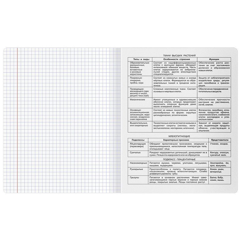 Тетрадь предметная 48л. BG "Печать времени" - Биология, тиснение