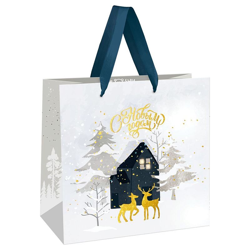Пакет подарочный 20*20*10см MESHU "Winter magic", матовая ламинация