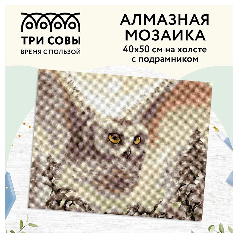 Алмазная мозаика ТРИ СОВЫ "Полярная сова", 40*50см, холст на деревянном подрамнике, картонная коробка с пластиковой ручкой