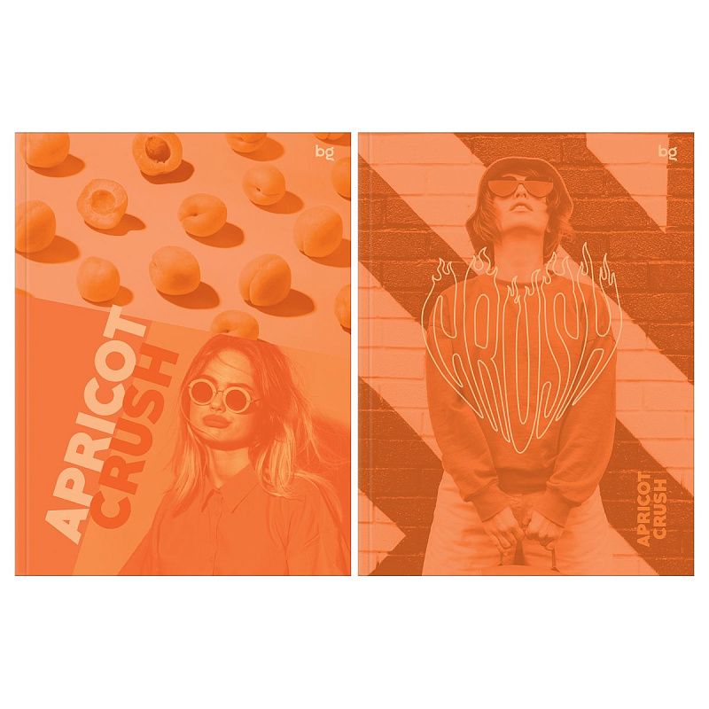 Бизнес-блокнот А5, 64л., ЛАЙТ BG "Оранжевый настрой", soft-touch ламинация