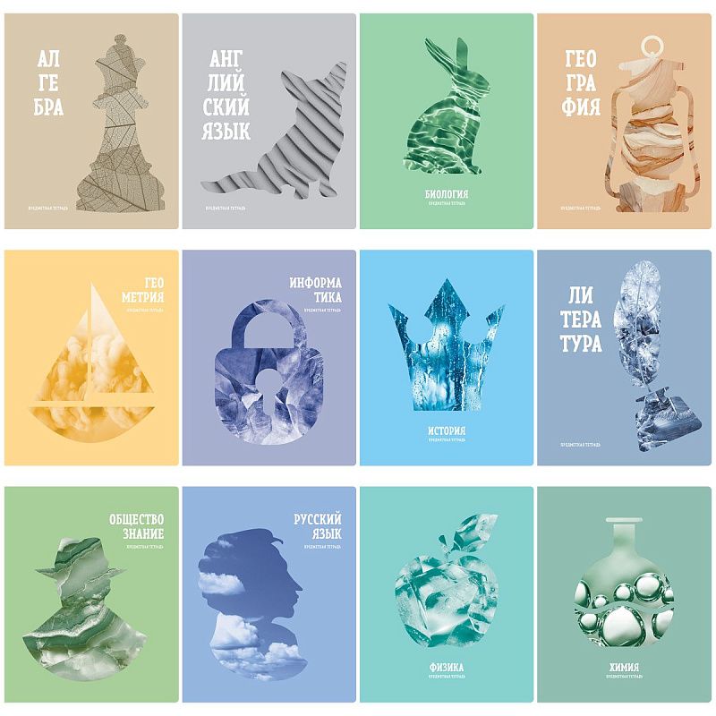 Комплект (12 шт.) предметных тетрадей 48л. BG "Подсказки", матовая ламинация, микро sandy-touch лак