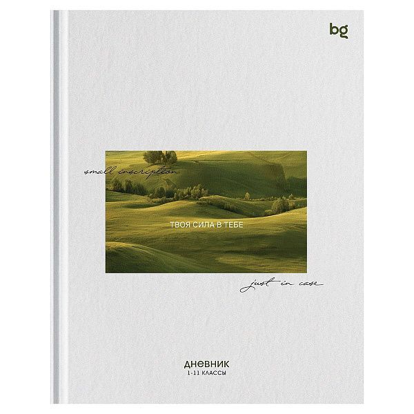 Дневник 1-11 кл. 48л. (твердый) BG "Inscription", матовая ламинация